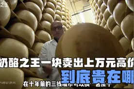 奶酪之王一块就能卖出上万元的高价，到底贵在哪#高端食材 #奶酪视频封面