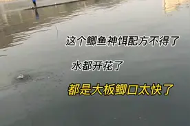 这个鲫鱼神饵配方不得了，水都开花了都是大板鲫口太快，公开配方视频封面