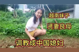 一万块娶回个越南妹子，身高一米七非常漂亮，在农村种菜为生视频封面
