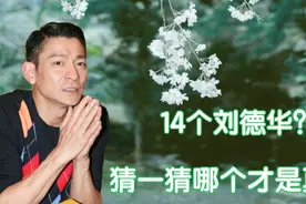 14个刘德华？赶紧围观，你听得出哪位才是真的刘德华吗？