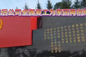 为公司再创佳绩视频封面