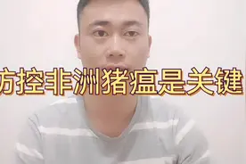防控非洲猪瘟是关键，新手养猪适合养什么品种 做母猪！