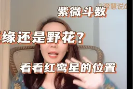 【紫微斗数】是正缘还是野花？看看红鸾星的位置！视频封面