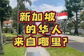 【一分钟让你认识了解新加坡🇸🇬】新加坡的华人都是来自哪里人？视频封面