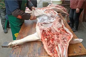 带你了解猪身上各部位名称及吃法，买肉简单多啦视频封面