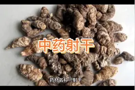 中药射干的作用与功效。中草药,中药。@寻良医 @探医 @北方名医视频封面