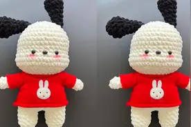 宝贝琳手作-钩针毛线编织手工制作帕恰狗玩偶挂件教程上集视频封面