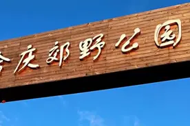 浦东合庆郊野公园的冬天视频封面