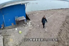 装个不要钱的监控摄像头，只需插电话卡，用流量即可！真的很方便视频封面