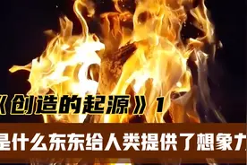 爱德华·威尔逊：是什么东东给人类提供了想象力？视频封面
