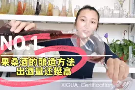 师姐洋洋教你在家酿造酸甜的的果桑酒，2斤桑椹出了将近3斤酒！视频封面