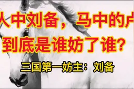 人中刘备马中的卢，到底是谁妨了谁？三国第一妨主：刘备视频封面