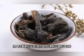 地龙的功效与使用视频封面