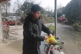 从来没有削过菠萝的农村老太太为了俩孙孙想吃菠萝也是豁出去了视频封面