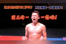 【经典回顾】2015年日本公开赛决赛，林丹绝杀安赛龙，低视原声视频封面