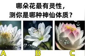 心理测试：你是哪种神仙体质？