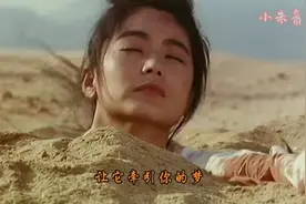 最好听的男声版《追梦人》，罗大佑作品，永远的经典视频封面