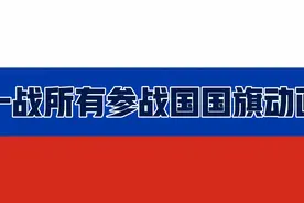 一战所有参战国国旗的动画视频封面