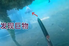 阿邑潜水捕鱼，在鱼排底下发现巨型石斑，一招把大鱼制服，过瘾视频封面