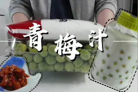 青梅汁做法居然这么简单？梅肉也不浪费，拌一拌就是一道开胃菜！视频封面