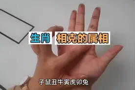 十二生肖相克的属相视频封面