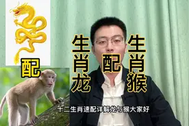 十二生肖速配详解：生肖龙配生肖猴。快转给身边属龙和属猴的人。视频封面