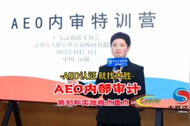 AEO内部审计策划和实施难点重点~视频封面