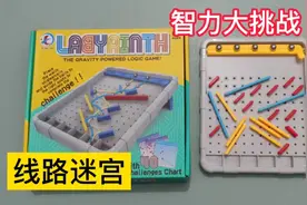 弹珠线路迷宫，智力大挑战，最后一关的骚操作我是确实没想到啊视频封面