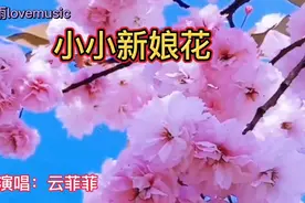 云菲菲原唱的《小小新娘花》，声音清脆甜美，满满都是回忆，好听视频封面