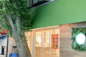 日本涩谷街头视频封面