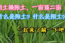 农谚“阴土换阳土，一亩顶二亩。”这句话是什么意思呢？了解一下视频封面