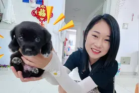 媳妇驱车60多里去抓狗，把狗都吓尿了，黑不溜秋长得像黑熊精似的视频封面