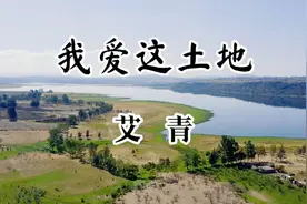 现代诗欣赏《我爱这土地》艾青视频封面