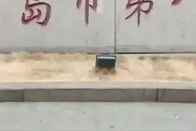 青岛市李沧区第八医院核酸检测现场视频封面