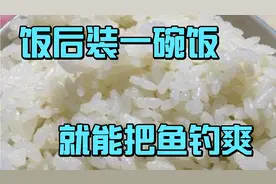 大米饭在钓鱼中的妙用，上鱼不输给任何饵料，实战效果好视频封面