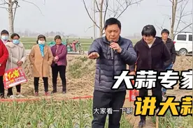 大蒜专家来老四的蒜地，为蒜农讲解大蒜管理技术，打套餐的好处视频封面