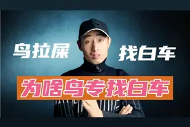 停车半小时竟被鸟粪包裹，鸟类为啥喜欢找白车排泄？视频封面