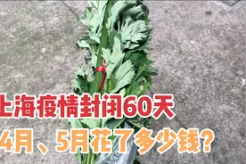 上海疫情封闭60天，4月、5月开支有多少？算下来有点惊讶视频封面