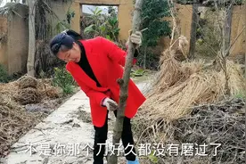 农村穷小伙娶了一个贤惠媳妇，洗衣做饭样样会，看看她今天在干嘛视频封面