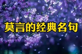 《莫言的经典名句》视频封面