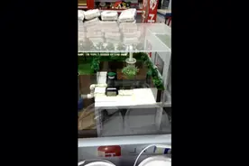 什么是海绵城市？#虹吸排水系统讲解视频封面