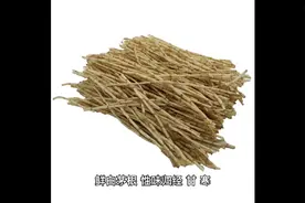鲜白茅根的作用与功效。性味归经。中药，中草药。@寻良医视频封面