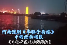 河南豫剧《李豁子离婚》中的经典唱段：李豁子我气的跺跺脚视频封面