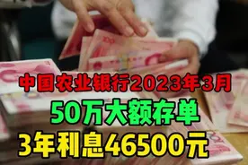 中国农业银行2023年3月最新存款：50万大额存单，3年利息46500视频封面