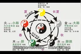 你的脚底是什么颜色？视频封面