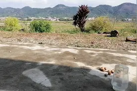 放寒假孩子不愿意写作业怎么办？，帮孩子建立目标感就会自觉完成视频封面
