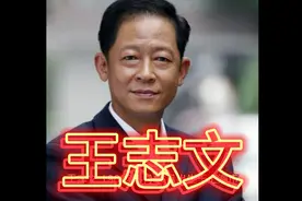 王志文简介视频封面