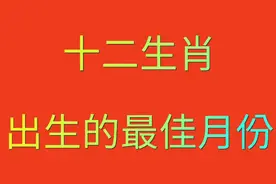 十二生肖最佳的出生月份，一起来看看视频封面