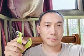 弹弓初学者如何选配钢珠和泥丸重量
