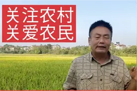 安徽阜阳：好多农民工身体很健壮不到50岁身体就垮了，到底啥原因视频封面